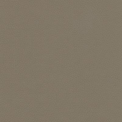 Eko Skay Cayenne 6 Eko Skay Cayenne 6