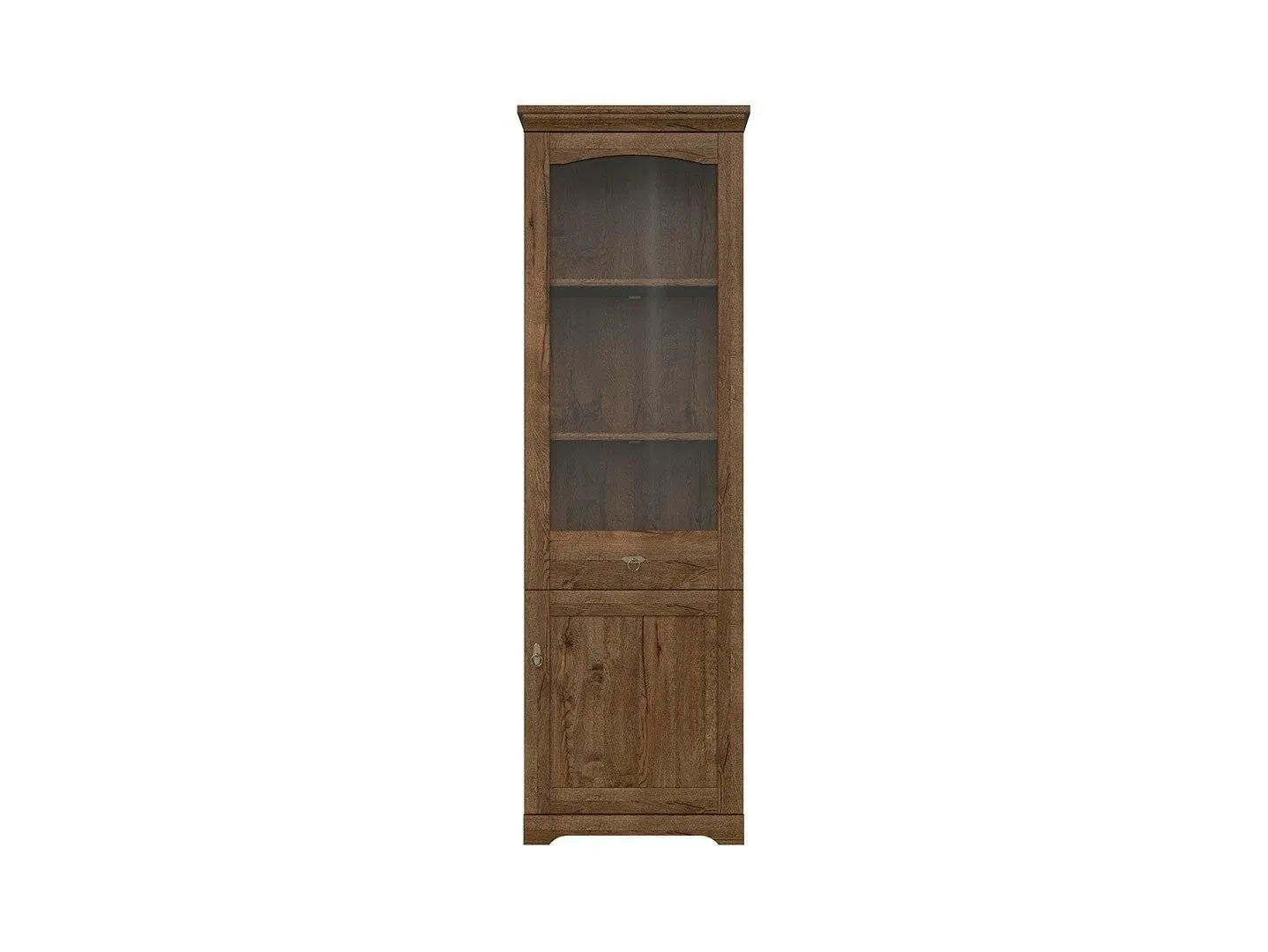 BA-RW105851-5 Moderni vitrinos spintelė RW105851 su stiklinėmis durelėmis
