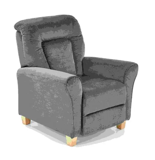 BARD recliner grey
