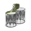 FOLLA set of 2 c. staliukass