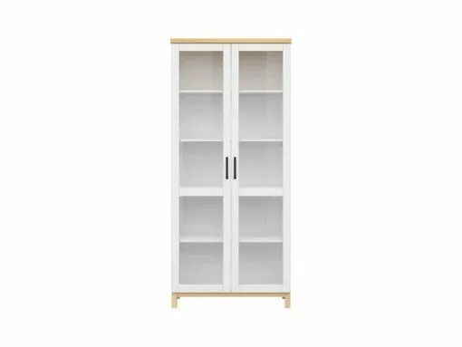 S369-REG2W-BIM/BIC-KPL01