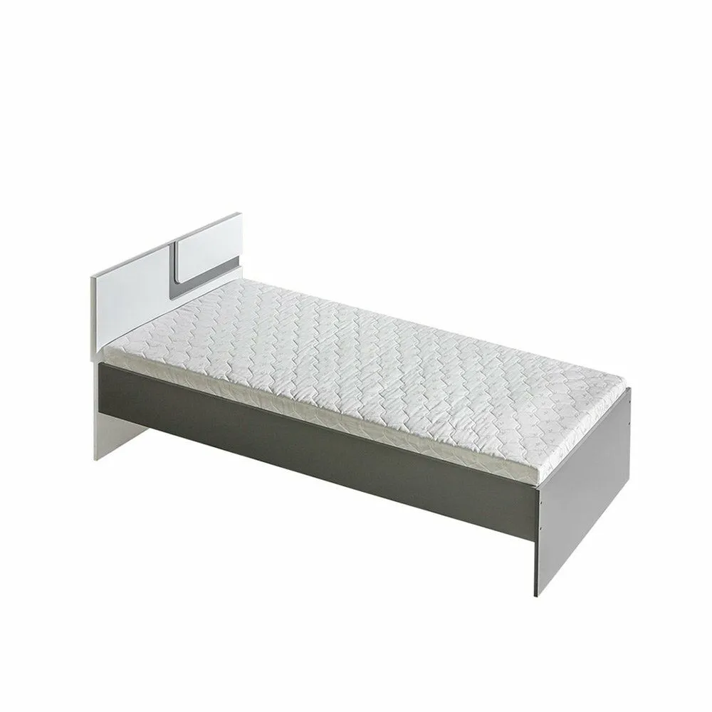 BA-SG100196-1 Lova APETITO 12