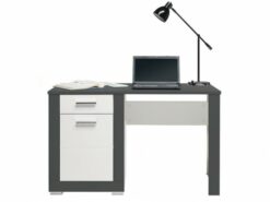 Stalas IK100132