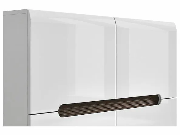 BA-IK100492-4 SFK4D/8/11-BI/BIP ventiliatoriaus galerijos nuotrauka su korpusu