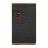 Lentyna 2D1W-DDC/CAM