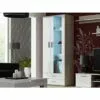 Vitrina SOHO S6 2D2S ąžuolas sonoma-balta