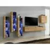 Sekcija SWITCH XIII WT SW 13 votan