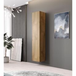 Pakabinama spintelė SG102787