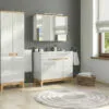 Komplektas 100cm su praustuvu , spintelė su veidrodžiu