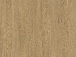 DĄB KAMIENNY 5527 FP