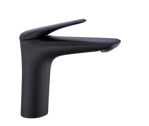 Praustuvo maišytuvas 4.8 cm GS169051