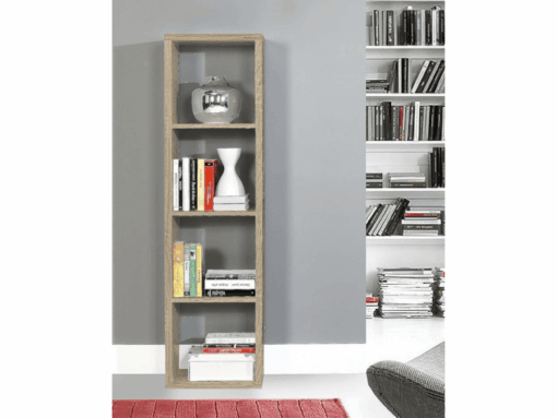 Pastatoma lentyna MB000147
