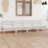 Sodo poilsio baldų komplektas, 4 dalių, baltas, pušies masyvas