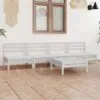 Sodo poilsio baldų komplektas, 5 dalių, baltas, pušies masyvas