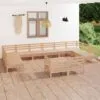 Sodo poilsio baldų komplektas, 12 dalių, pušies masyvas