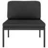 Dvivietė antracito sodo sofa su pagalvėlėmis ir aliuminiu