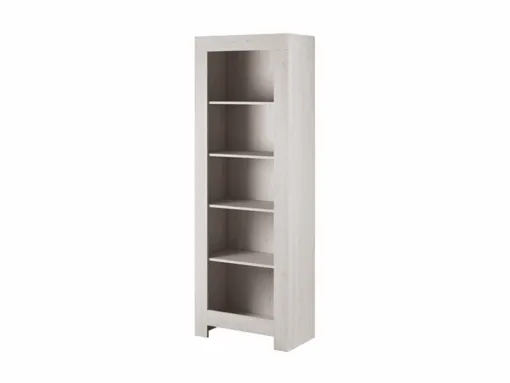 Pastatoma lentyna MB000938
