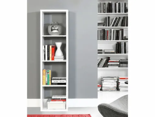 Pastatoma lentyna MB002558