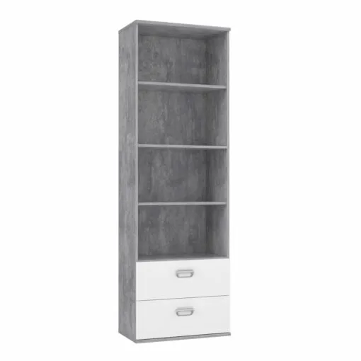 Pastatoma lentyna MB002647