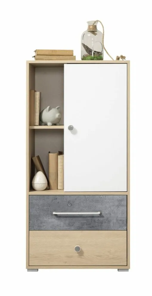 Pastatoma lentyna MB002652