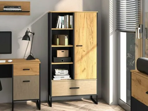 Pastatoma lentyna MB002661
