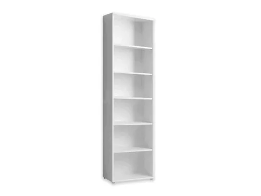 Pastatoma lentyna MB002663
