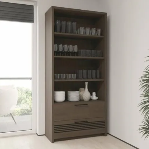 Pastatoma lentyna MB002758